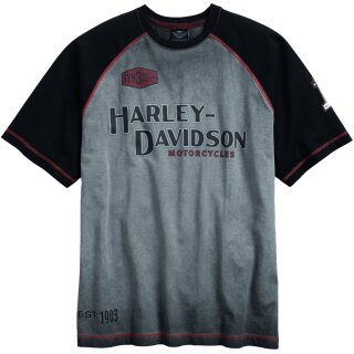 HD T-Shirt Ironblock noir / gris