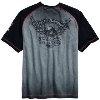 HD T-Shirt Ironblock noir / gris